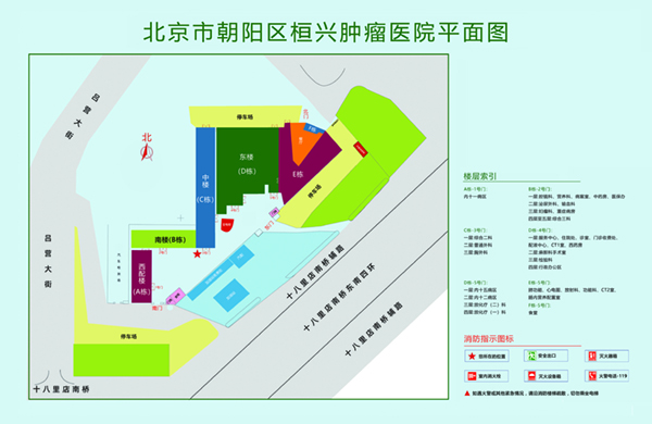 日夲曰黑逼北京市朝阳区桓兴肿瘤医院平面图